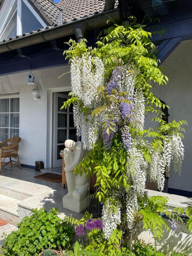Gaensebluemchen 2 Apartment Daisy 2 Walsdorf  Luaran gambar